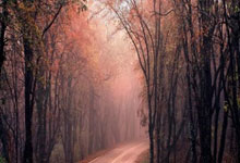 中国篮球联赛迎来精彩巅峰对决！