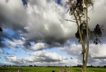 土耳其挑战克罗地亚，备战欧洲杯