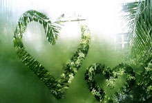 阿克灵顿紧逼取胜，球迷期待更多精彩