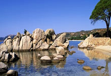 激烈对抗！两队在场上展开了精彩比拼